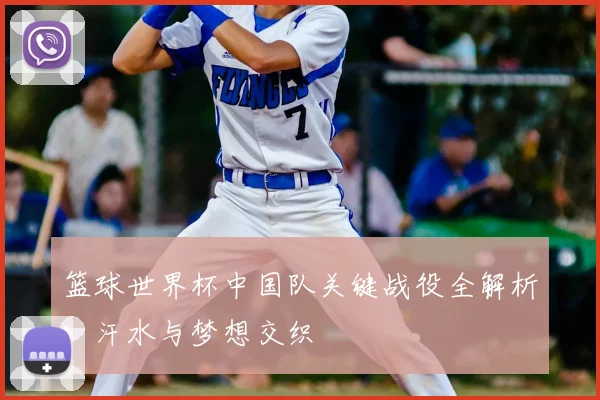 篮球世界杯中国队关键战役全解析：汗水与梦想交织