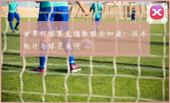 世界杯球赛直播数据全知道：技术统计与球员表现