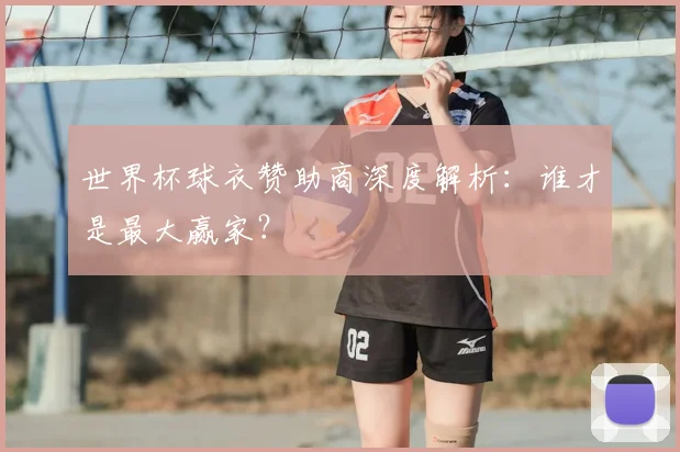 世界杯球衣赞助商深度解析：谁才是最大赢家？