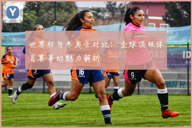 世界杯与冬奥会对比：全球顶级体育赛事的魅力解析